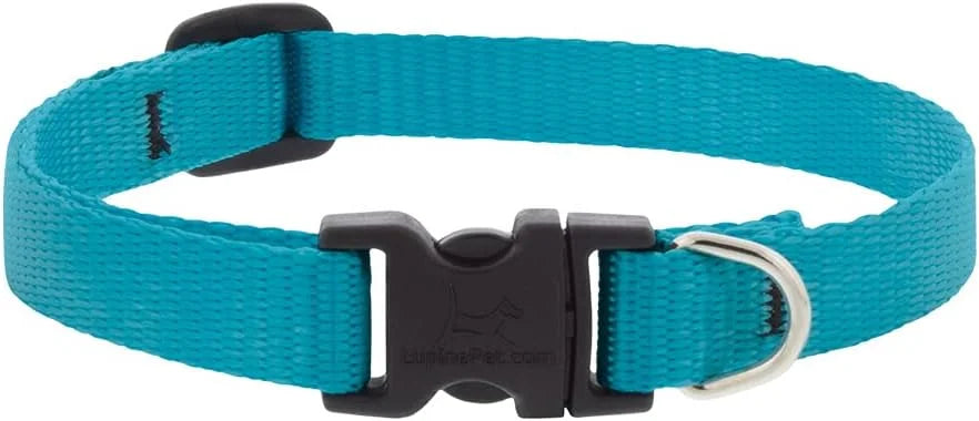 1-2in Aqua 6-9 Adj Collar