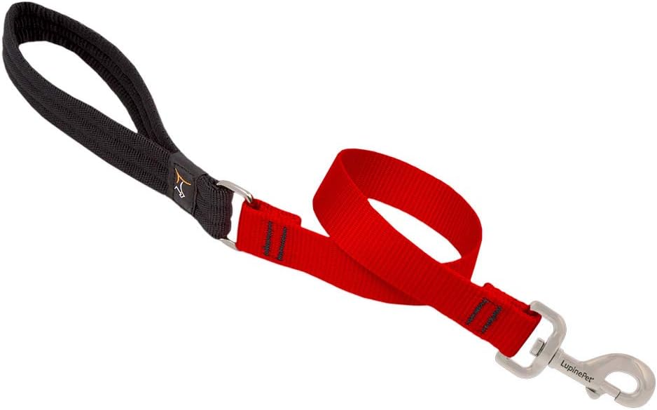 1in Red 2ft Leash