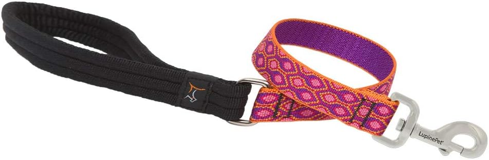 1in Alpen Glow 2ft Leash