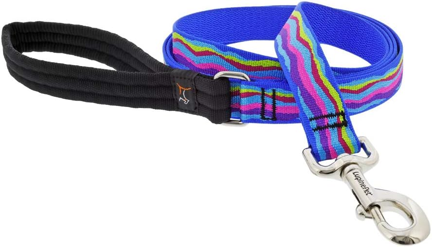 1in Ripple Creek 6ft Leash