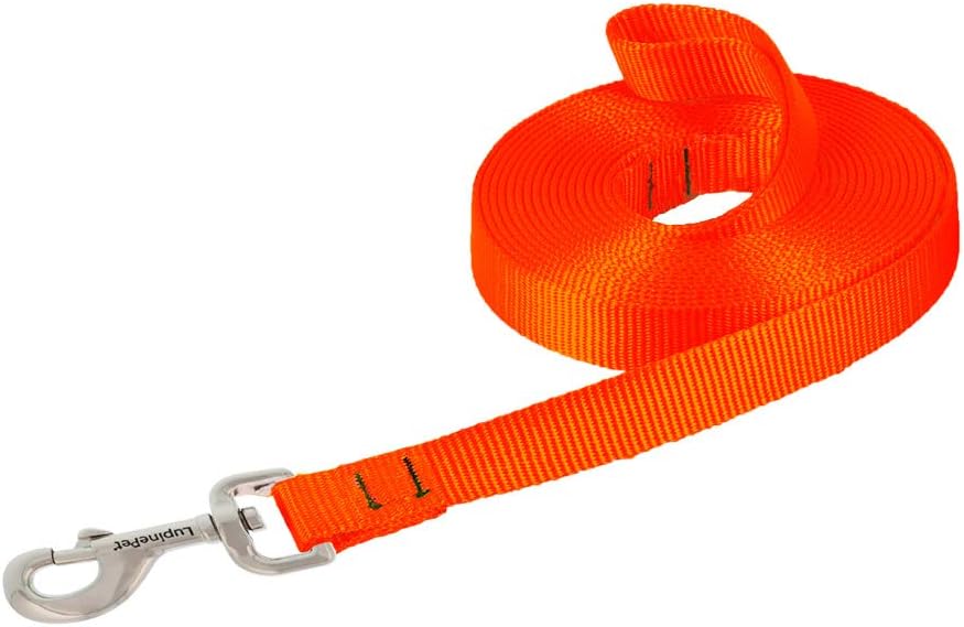 3-4in Blaze Orange 15ft Training Leash