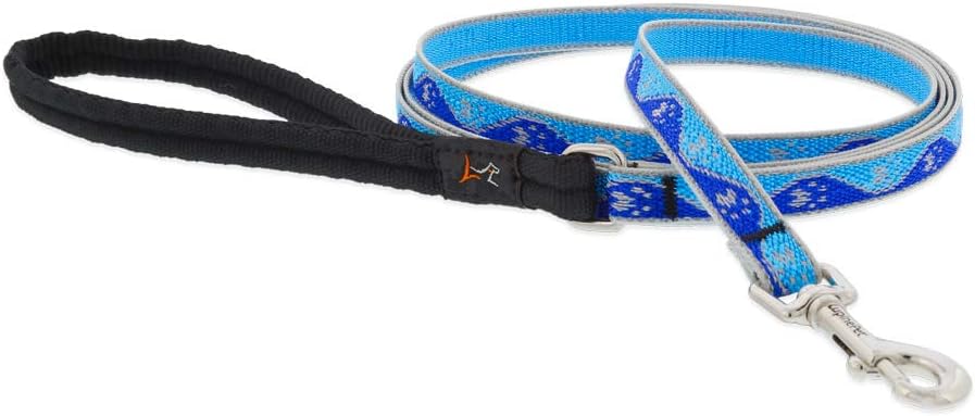 HL 1/2in Blue-Paws 4ft Leash