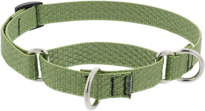 3/4in Moss 10-14 Martingale