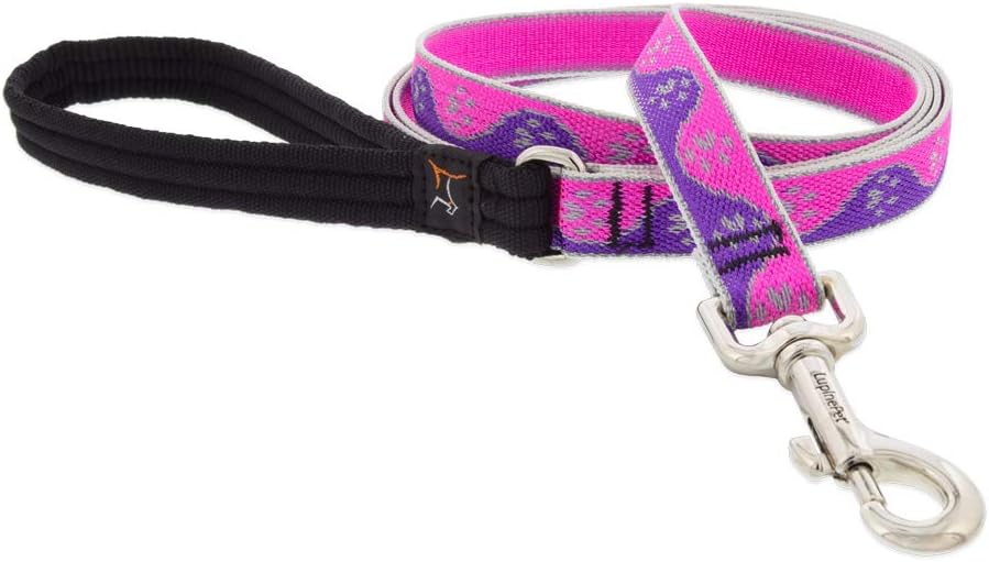 HL 3/4in Pink-Paws 6ft Leash