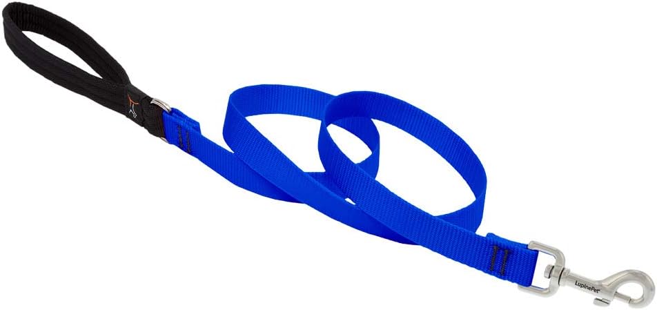 3/4in Blue 4ft Leash