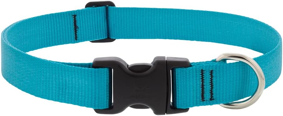 1in Aqua 12-20 Adj Collar