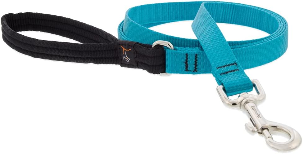 3/4in Aqua 4ft Leash