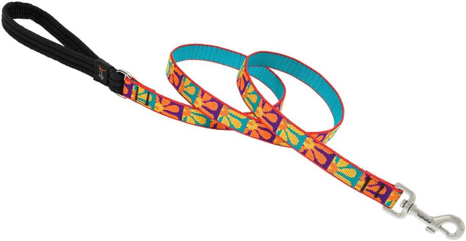 3/4in Crazy Daisy 4ft Leash