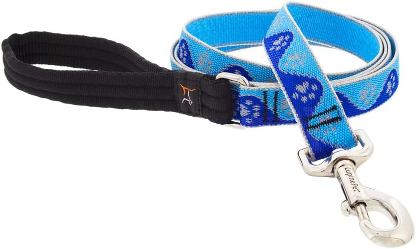 HL 1in Blue-Paws 4ft Leash