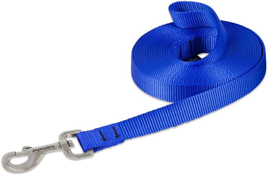 3/4in Blue 15ft Training Leash