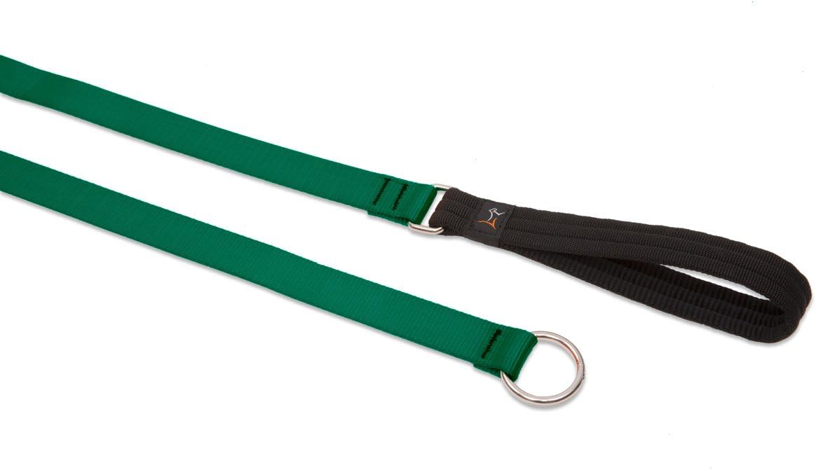 3/4in Green 6ft Slip Leash