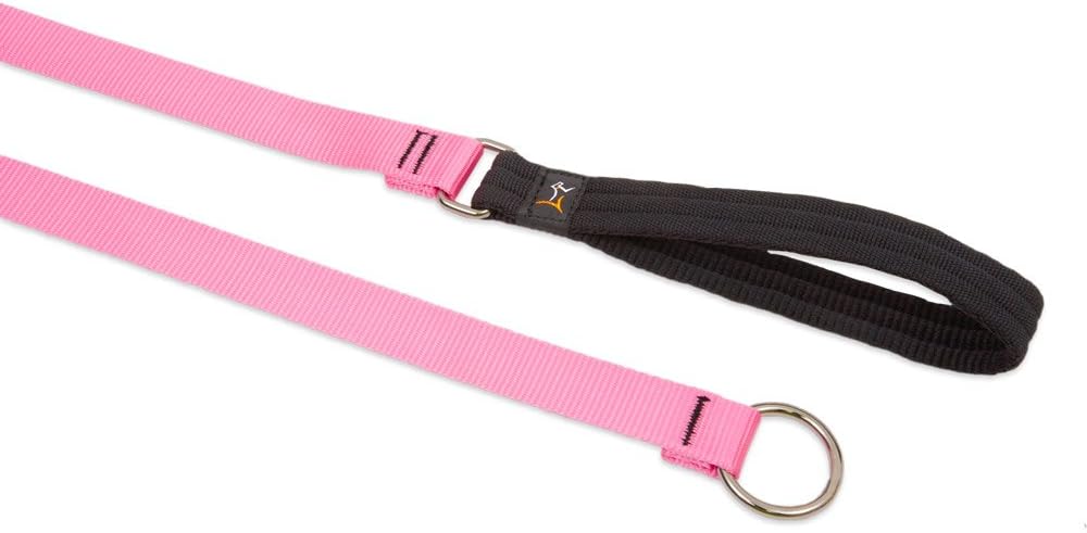 3-4in Pink 6ft Slip Leash