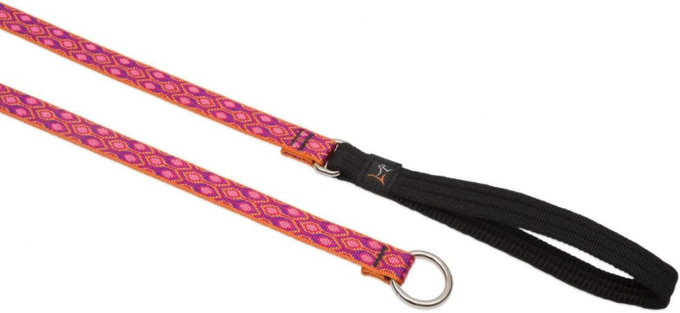 3/4in Alpen Glow 6ft Slip Leash