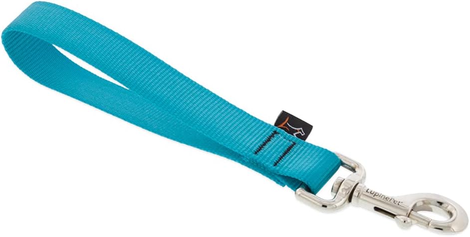 1in Aqua Training Tab