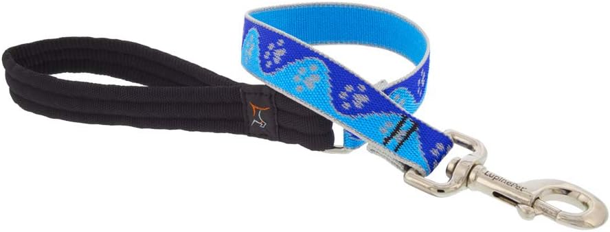 HL 1in Blue-Paws 2ft Leash