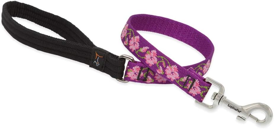 3/4in Rose Garden 2ft Leash