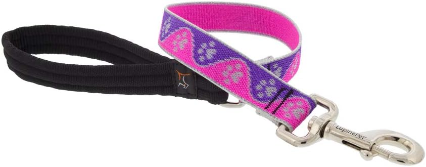 HL 1in Pink-Paws 2ft Leash