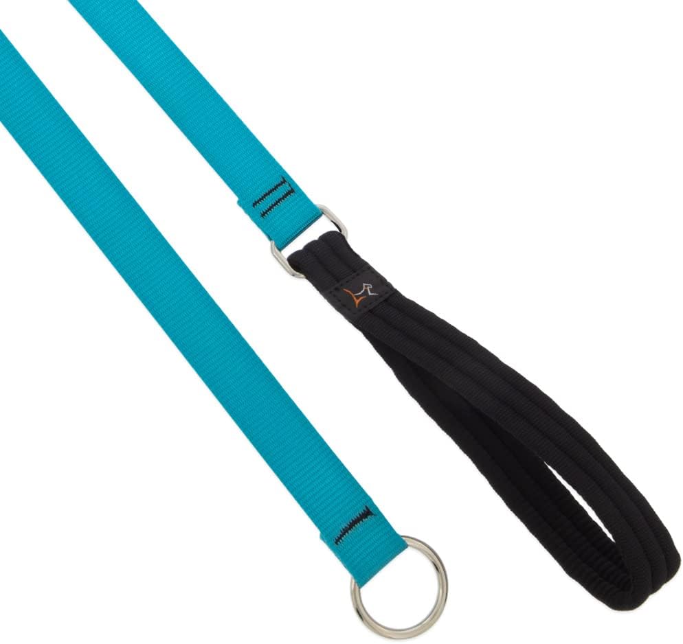 1in Aqua 6ft Slip Leash