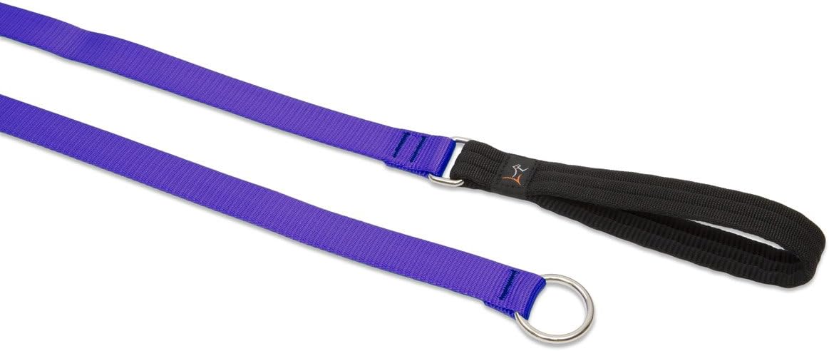 3-4in Purple 6ft Slip Leash