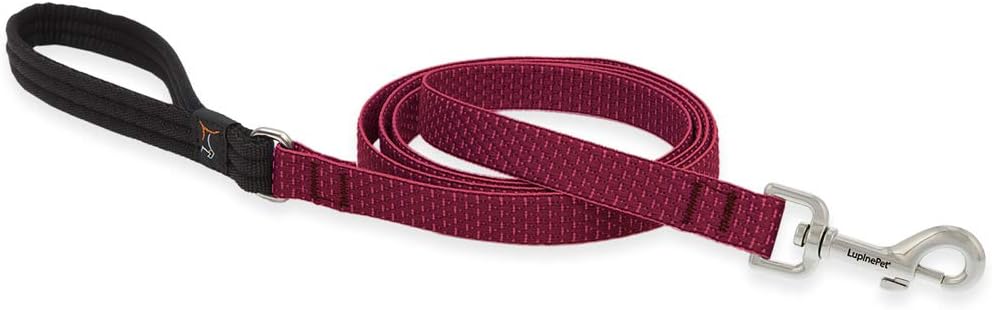 3/4in Berry 4ft Leash