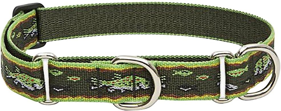 1in Brook Trout 15-22 Martingale