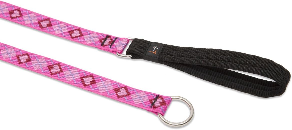 1in Puppy Love 6ft Slip Leash