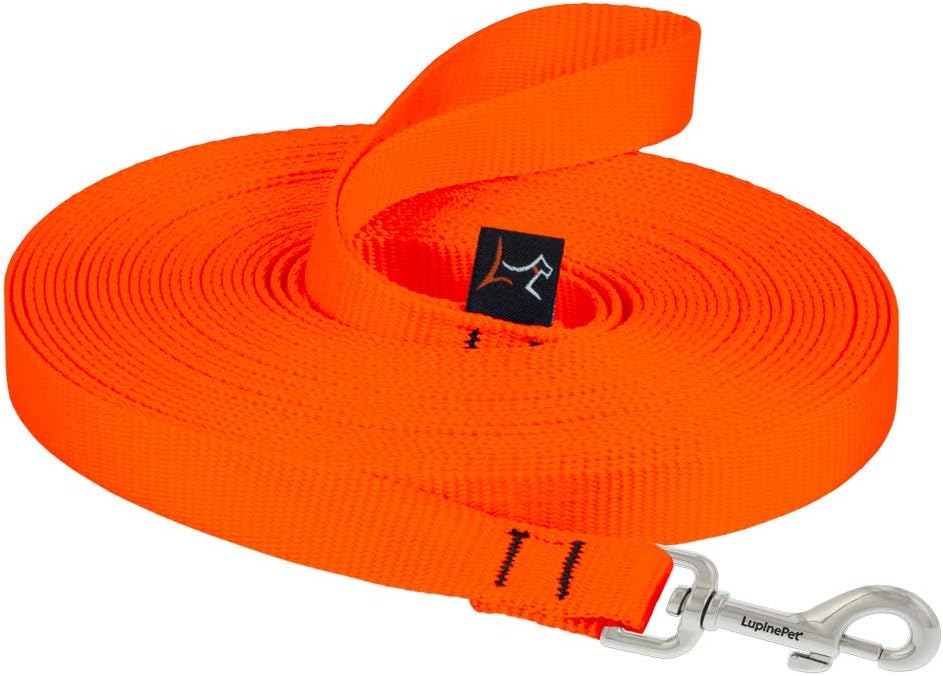 3-4in Blaze Orange 30ft Training Leash