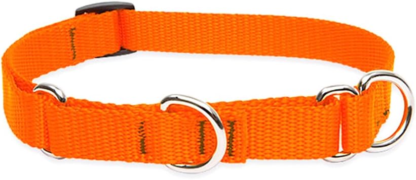 3/4in Blaze Orange 10-14 Martingale