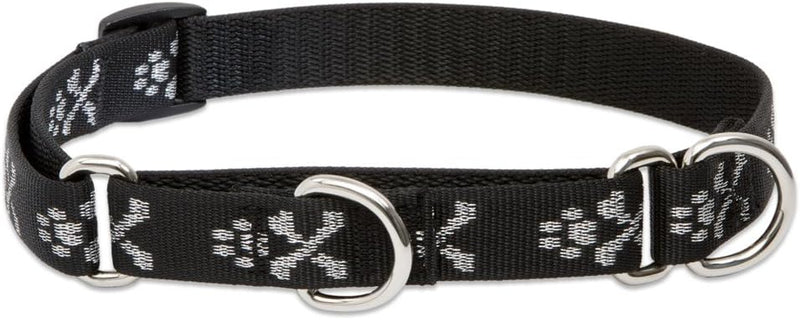 Black 3-4in Bling Bonz martingale dog collar with white paw print design and silver metal hardware