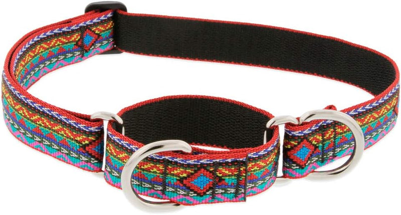 Colorful patterned 1in El Paso Adjustable Martingale Dog Collar with metal D-rings and black inner lining