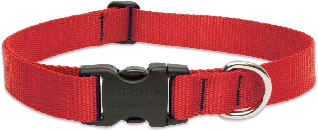 1in Red 12-20 Adj Collar