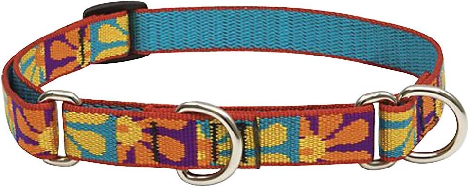 3-4in Crazy Daisy 14-20 Martingale collar, aqua color, adjustable, durable pet accessory.