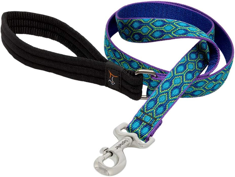 1in Rain Song 6ft Leash