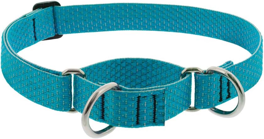 1in Tropical Sea 15-22 Martingale