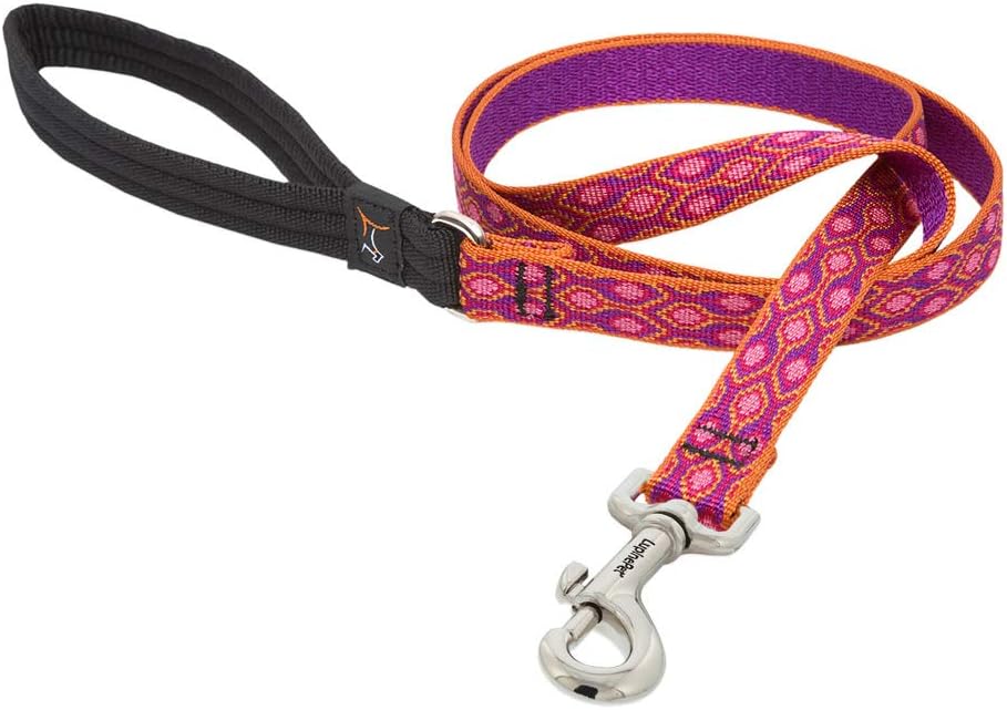 3/4in Alpen Glow 4ft Leash