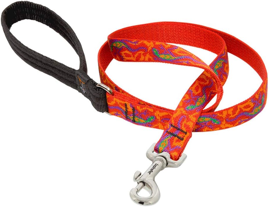 3/4in Go Go Gecko 4ft Leash