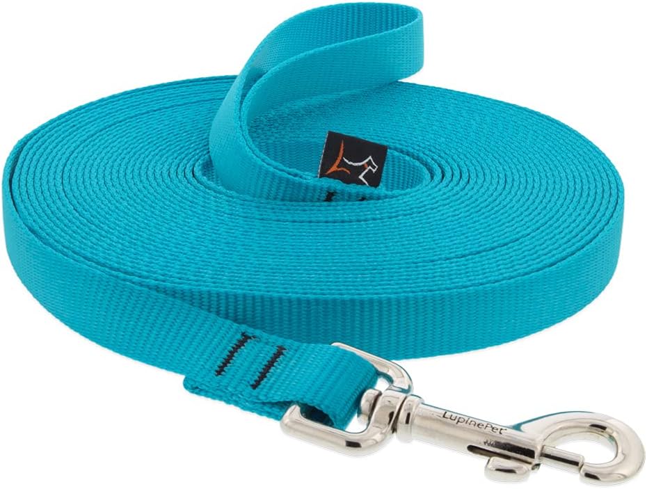 3/4in Aqua 30ft Training Leash