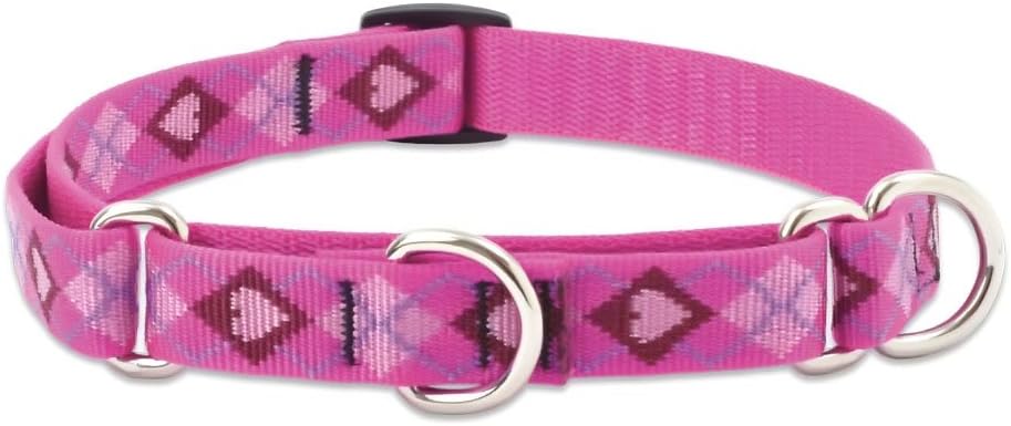 3/4in Puppy Love 14-20 Martingale