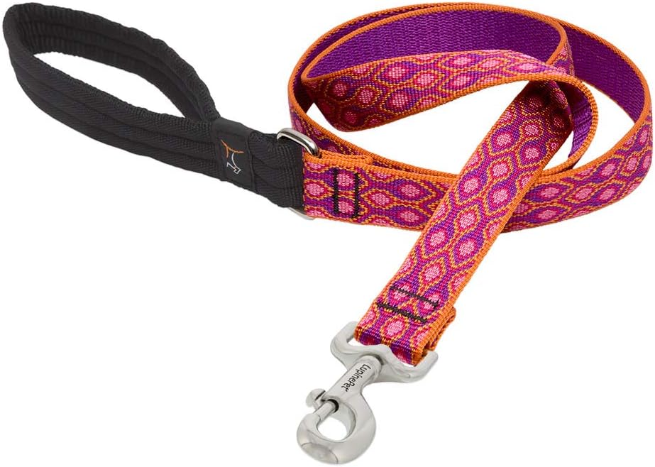 1in Alpen Glow 4ft Leash