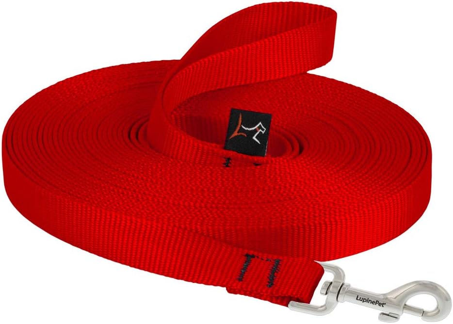 3/4in Red 30ft Training Leash