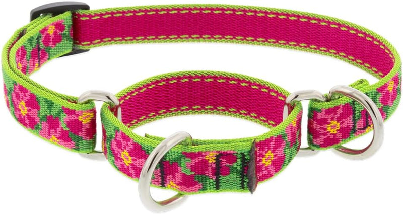 3/4 inch Petunias pattern adjustable martingale dog collar 14-20 inch length with pink and green floral design