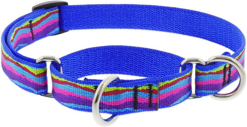 3/4 inch adjustable Ripple Creek martingale dog collar in aqua with colorful stripes and metal rings, 14-20 inch length
