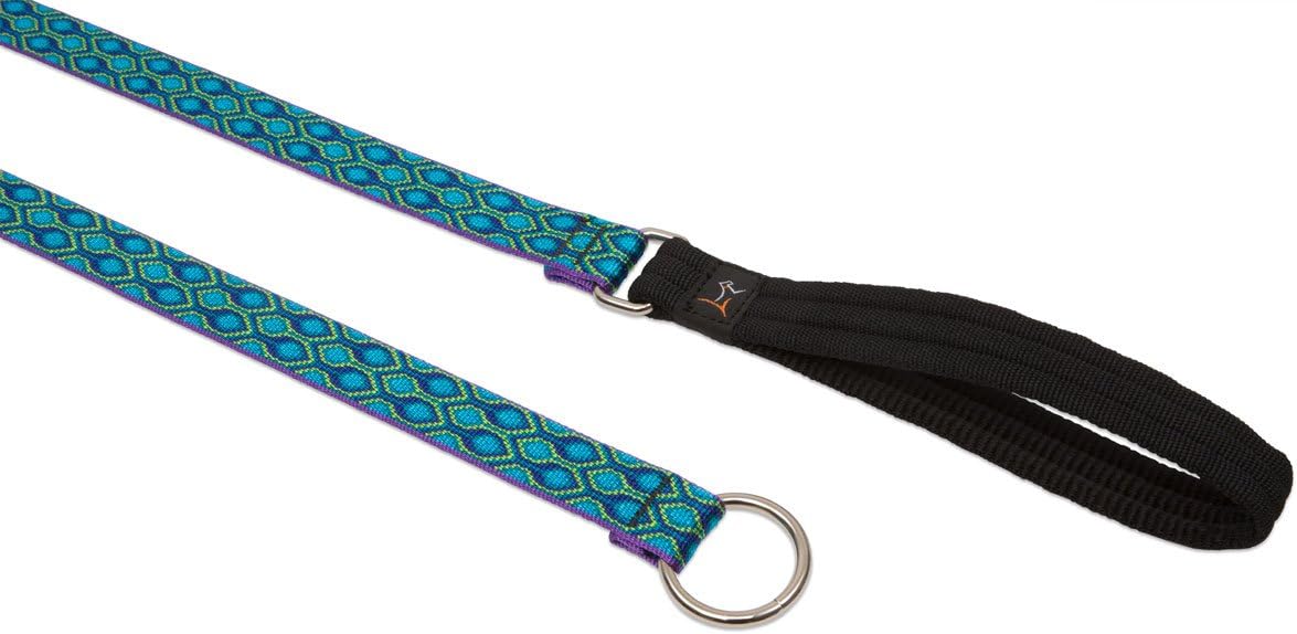 1in Rain Song 6ft Slip Leash