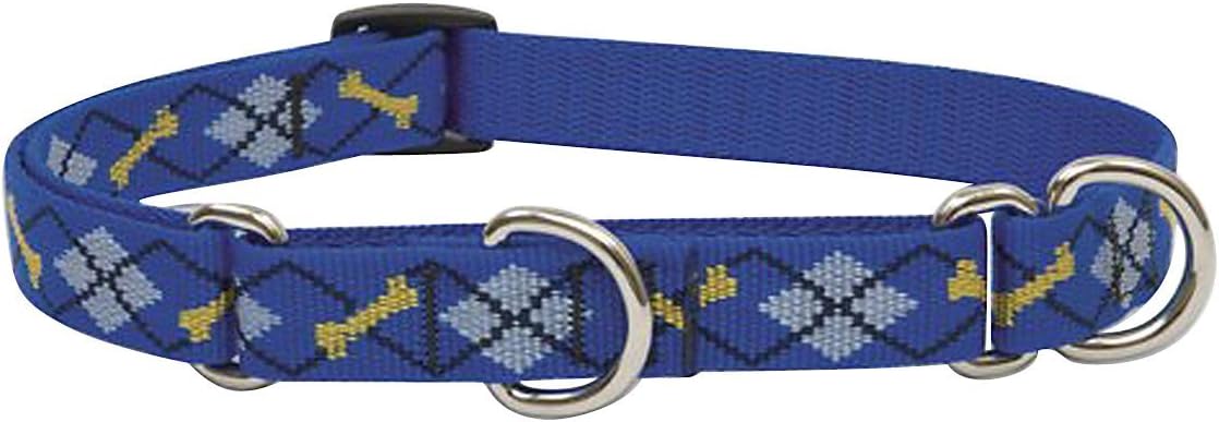 3-4in Dapper Dog 14-20 Martingale