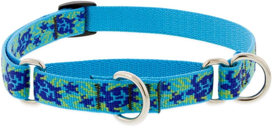 3/4in Turtle Reef 14-20 Martingale