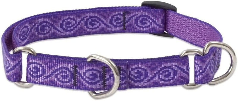 3/4in Jelly Roll purple patterned adjustable martingale dog collar with metal rings