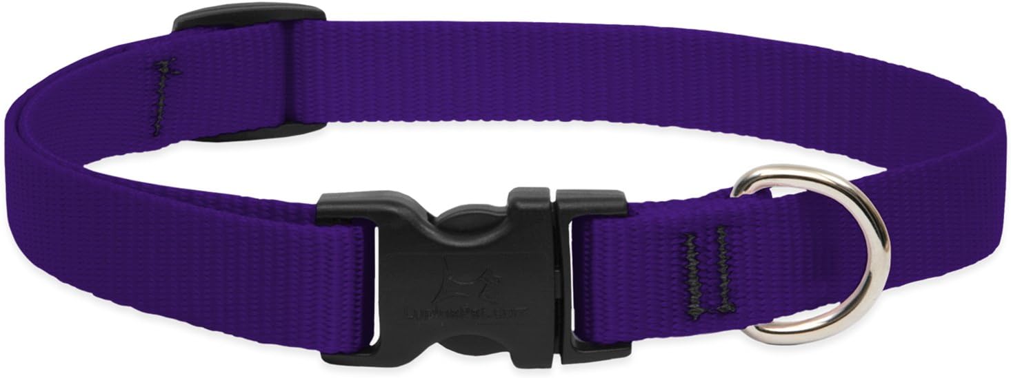 3-4in Purple 9-14 Adj Collar