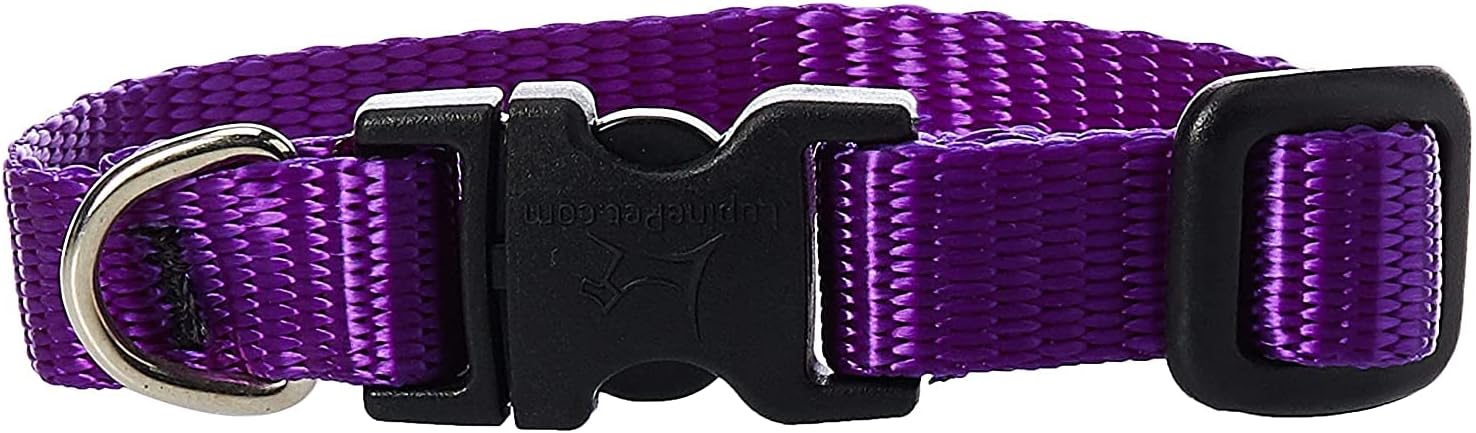 1-2in Purple 8-12 Adj Collar