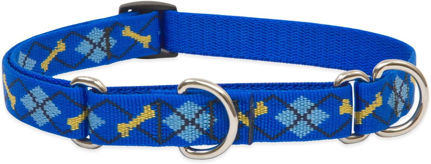 3/4in Dapper Dog 10-14 Martingale