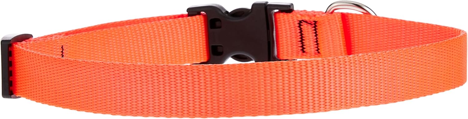 3-4in Blaze Orange 13-22 Adj Collar